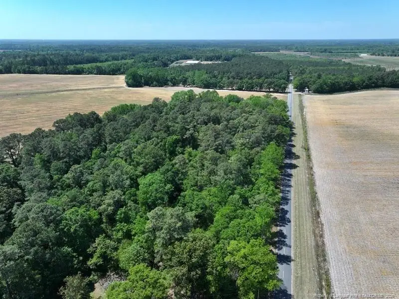 TBD N Duffie Road, Red Springs, NC 28377 - #1