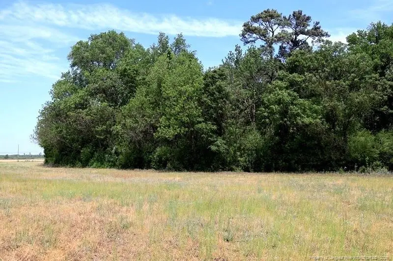 TBD N Duffie Road, Red Springs, NC 28377 - #2