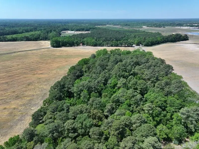 TBD N Duffie Road, Red Springs, NC 28377 - #3