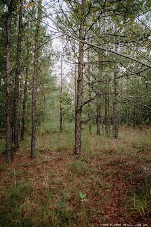 Lot 1-TBD Nighthawk Loop, Aberdeen, NC 28315