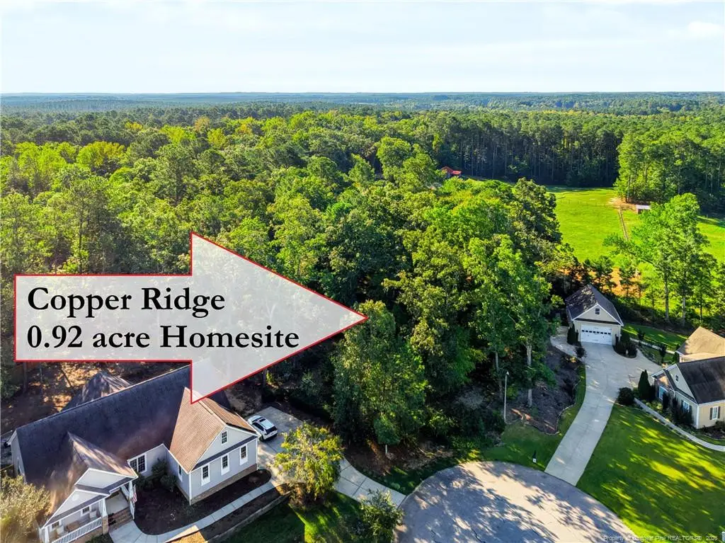 tbd Panners Place, Sanford, NC 27330 - #1