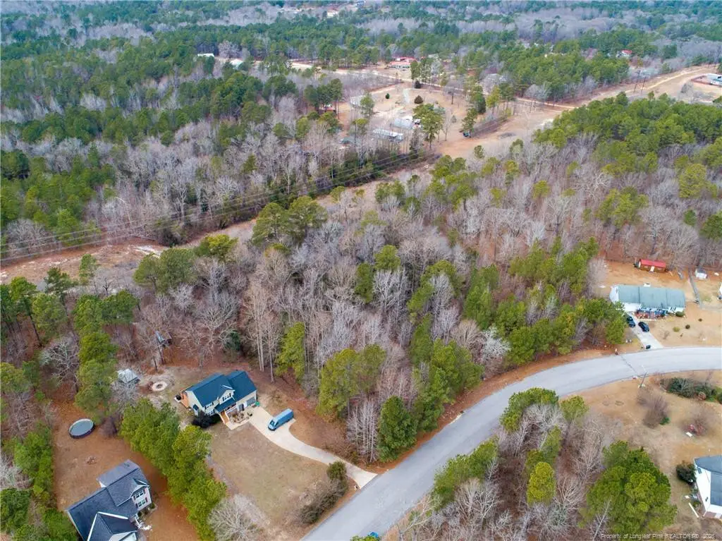 286 Colonial Hills Drive, Lillington, NC 27546 - #1