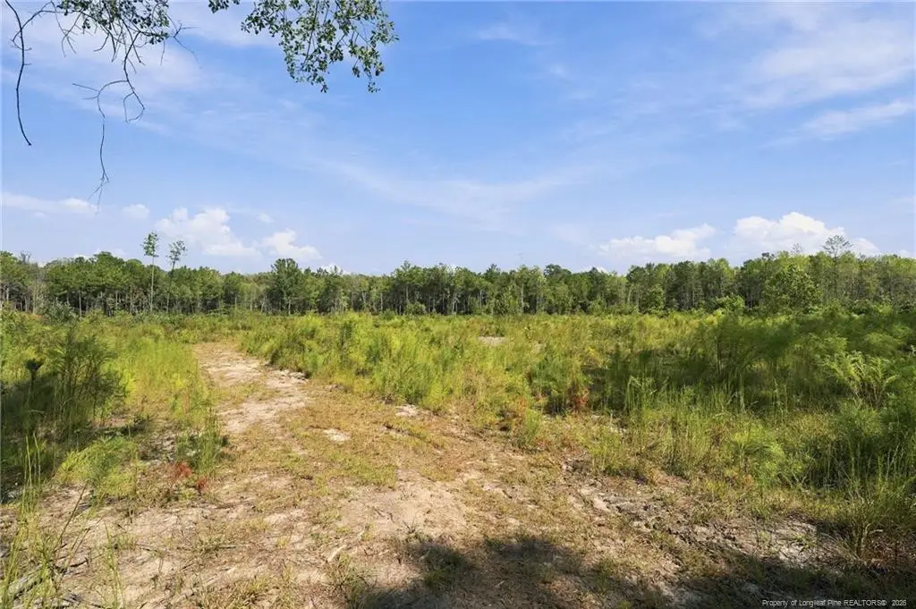 Hill Street, Raeford, NC 28376 - #1