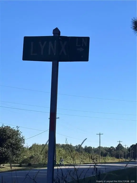 Lynx Lane, Palmyra, NC 27874 - #3