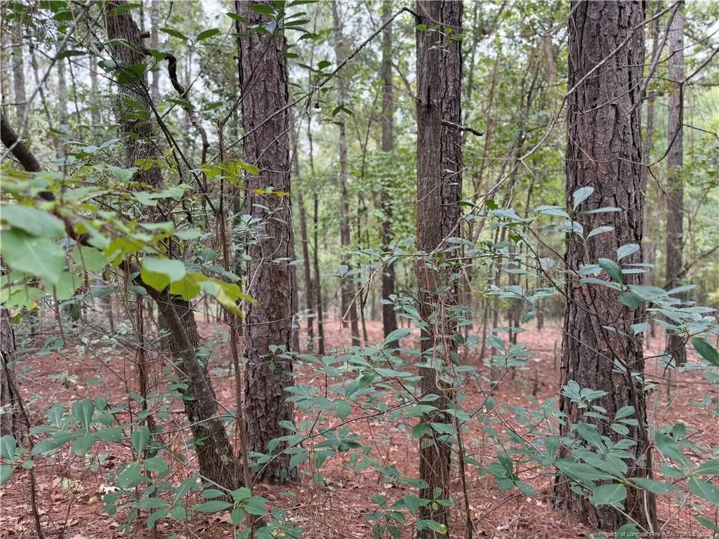 Lot 7a Mumford Road, Raeford, NC 28376 - #1