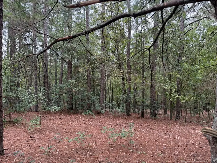 Lot 7a Mumford Road, Raeford, NC 28376 - #2