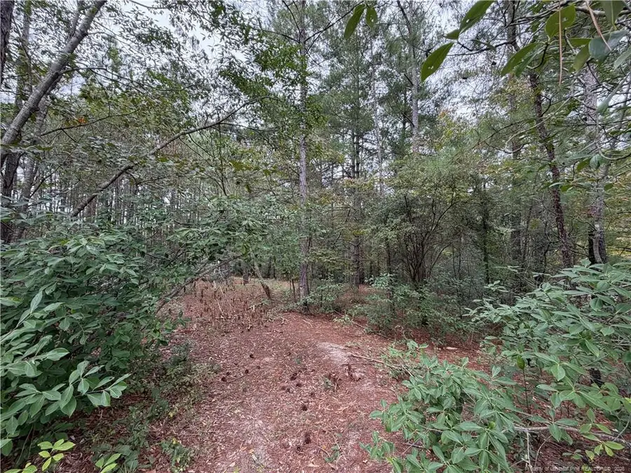 Lot 7a Mumford Road, Raeford, NC 28376 - #3