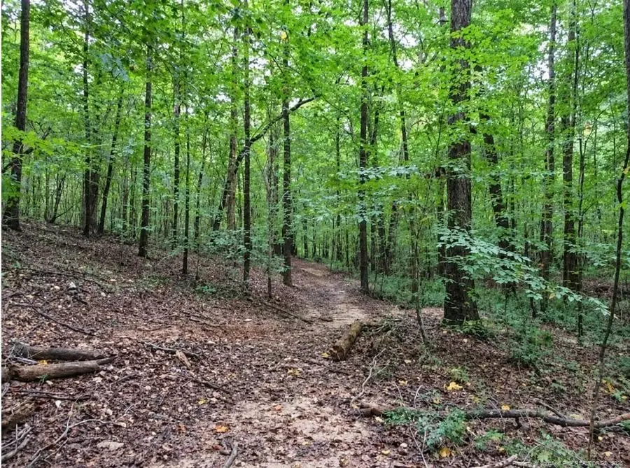 6700 Cass Holt Road, Holly Springs, NC 27540 - #3