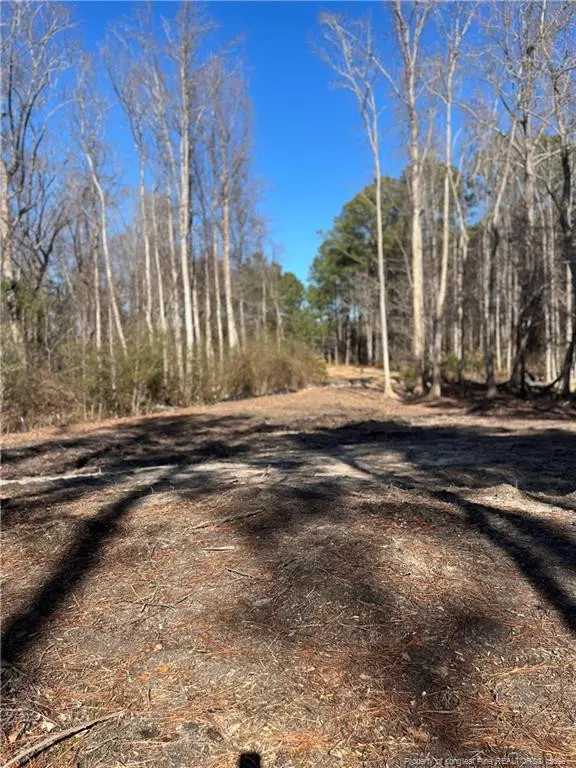 7122 Lytteton Drive, Fayetteville, NC 28311 - #1