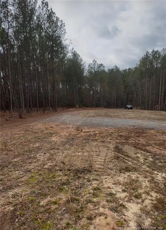 183 Thistlecone Lane, Sanford, NC 27332 - #2