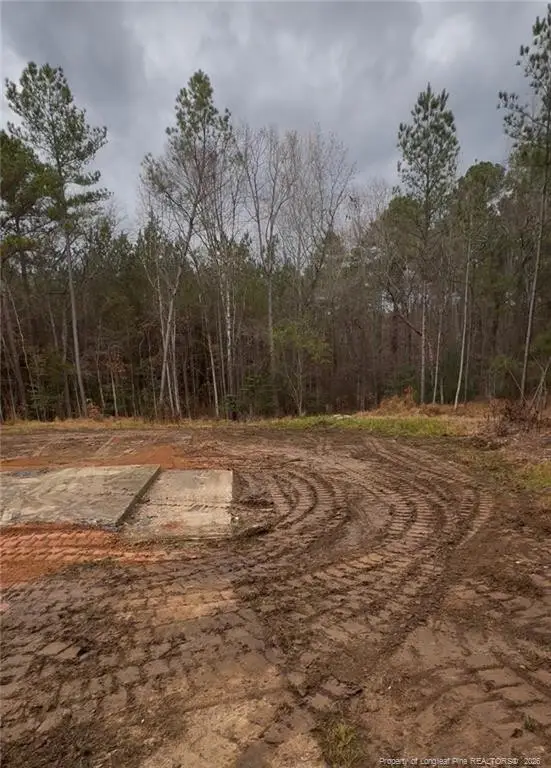 183 Thistlecone Lane, Sanford, NC 27332 - #3