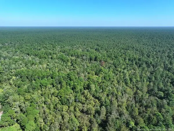 Angola Bay, Wallace, NC 28466