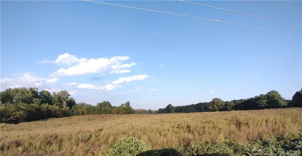 0 Fire Tower Road, Sanford, NC 27330 - #1