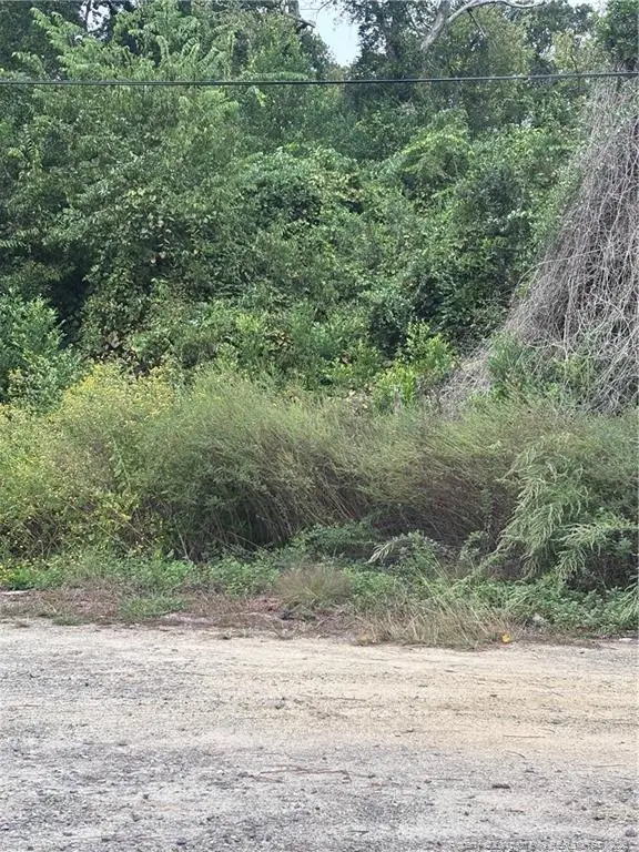 Pelt Drive, Fayetteville, NC 28301 - #2
