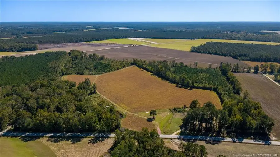 0 Carl Freeman Road, Stedman, NC 28391 - #3