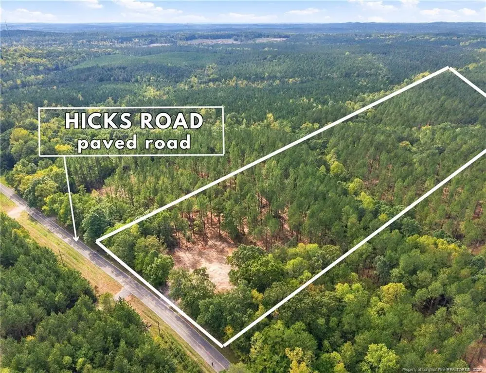 Lot 3 Capelsie Road, Candor, NC 27229 - #1