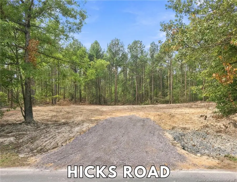 Lot 3 Capelsie Road, Candor, NC 27229 - #2