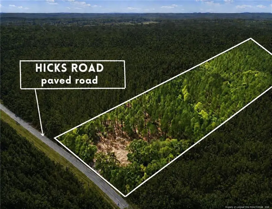 Lot 3 Capelsie Road, Candor, NC 27229 - #3