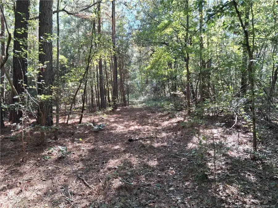 0 None, White Oak, NC 28399 - #2