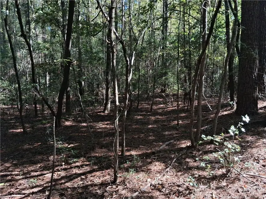 0 None, White Oak, NC 28399 - #3