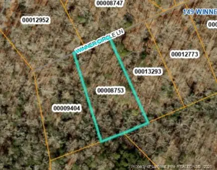0 Winner Circle Lane, Carthage, NC 28327 - #2