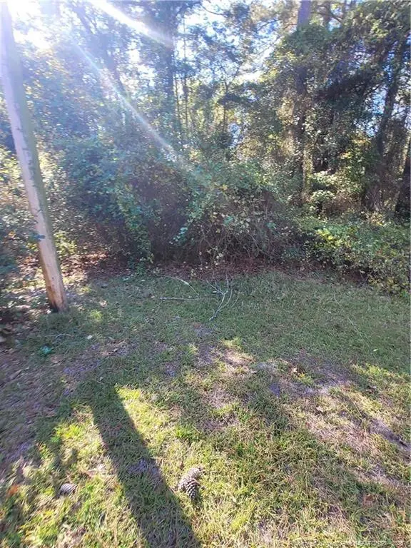 65 Kate Lane, Salemburg, NC 28385 - #2