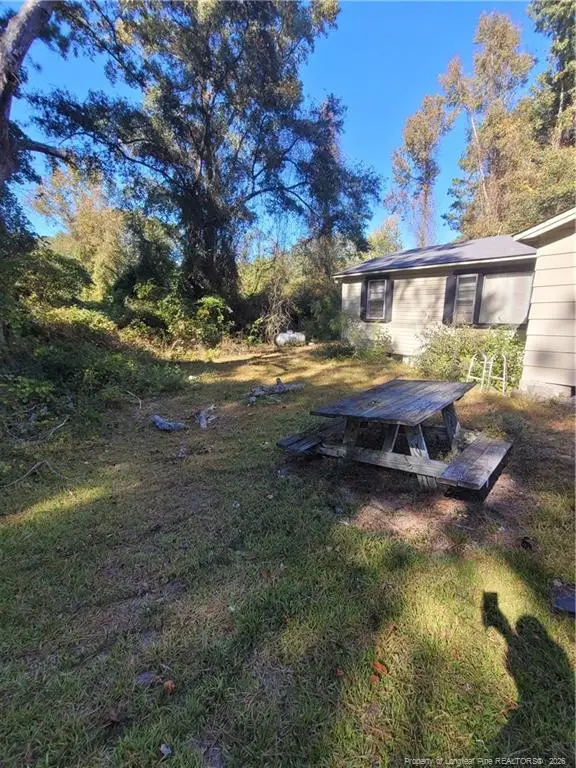 65 Kate Lane, Salemburg, NC 28385 - #3