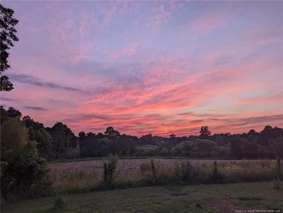 1589 Dixie Farm Road, Sanford, NC 27332 - #3