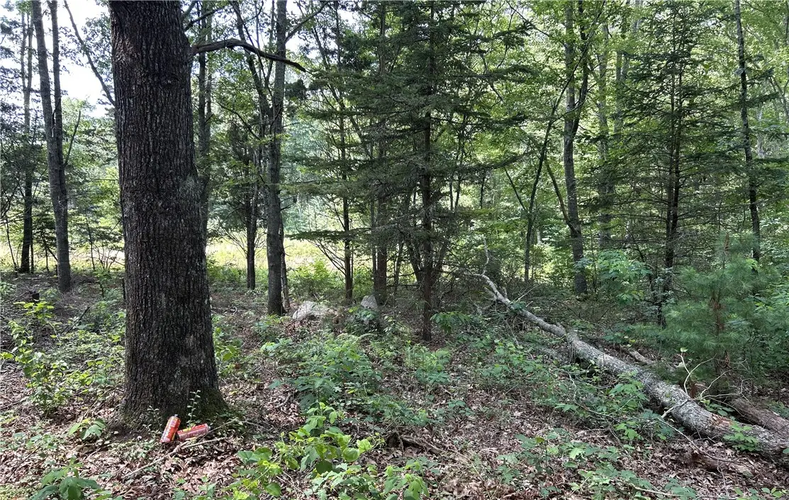 12 Fallon Trail, Westerly, RI 02891 - Image #1