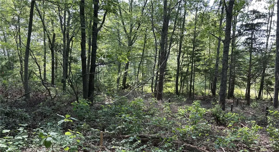 12 Fallon Trail, Westerly, RI 02891 - Image #3