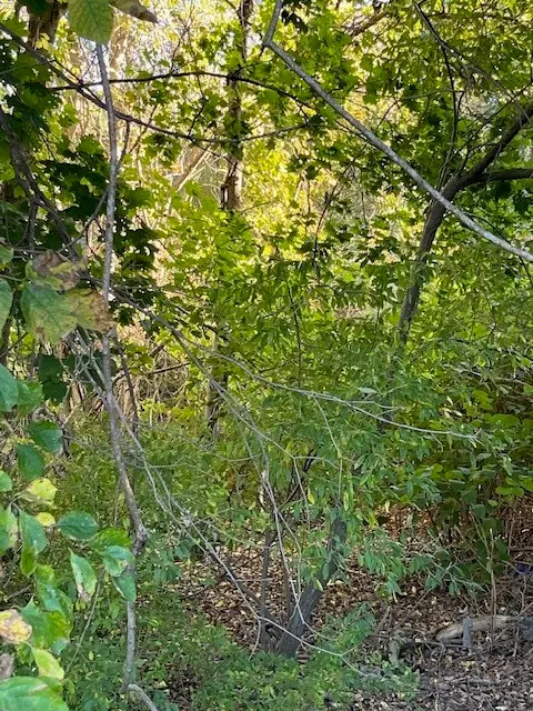 0 Liberty Lane, South Kingstown, RI 02879 - Image #3