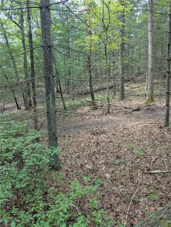 0 Douglas Pike, North Smithfield, RI 02896 - Image #2