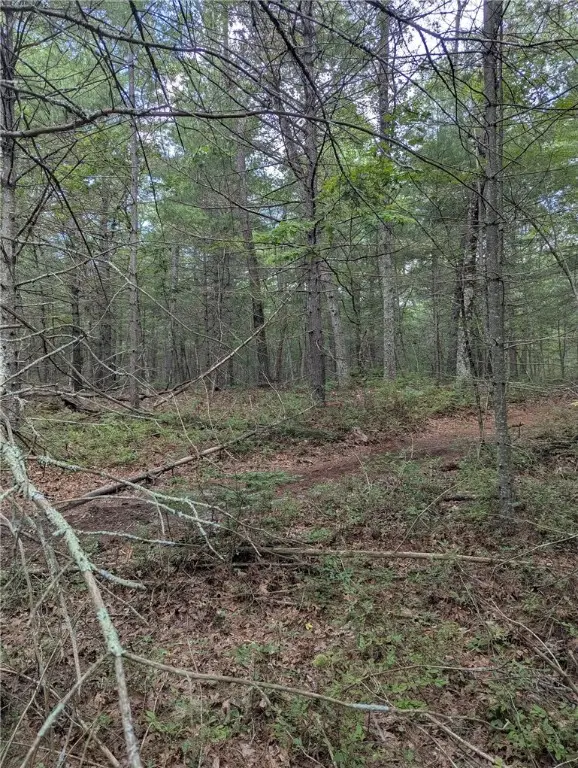 0 Douglas Pike, North Smithfield, RI 02896 - Image #3