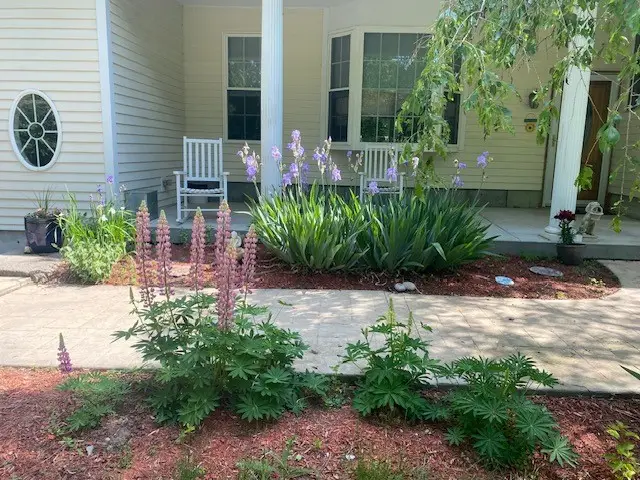 11 Fox Court, South Kingstown, RI 02879 - #2