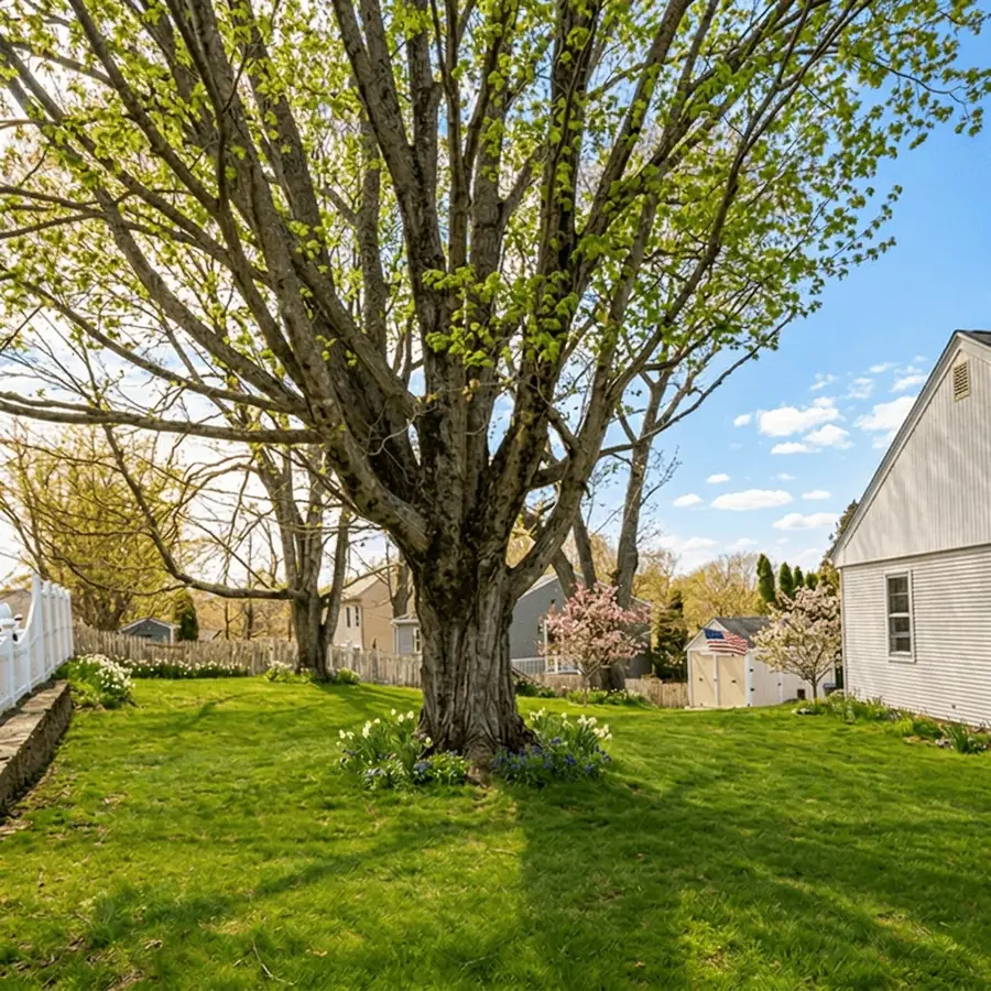 479 Logee Street, Woonsocket, RI 02895 - #3