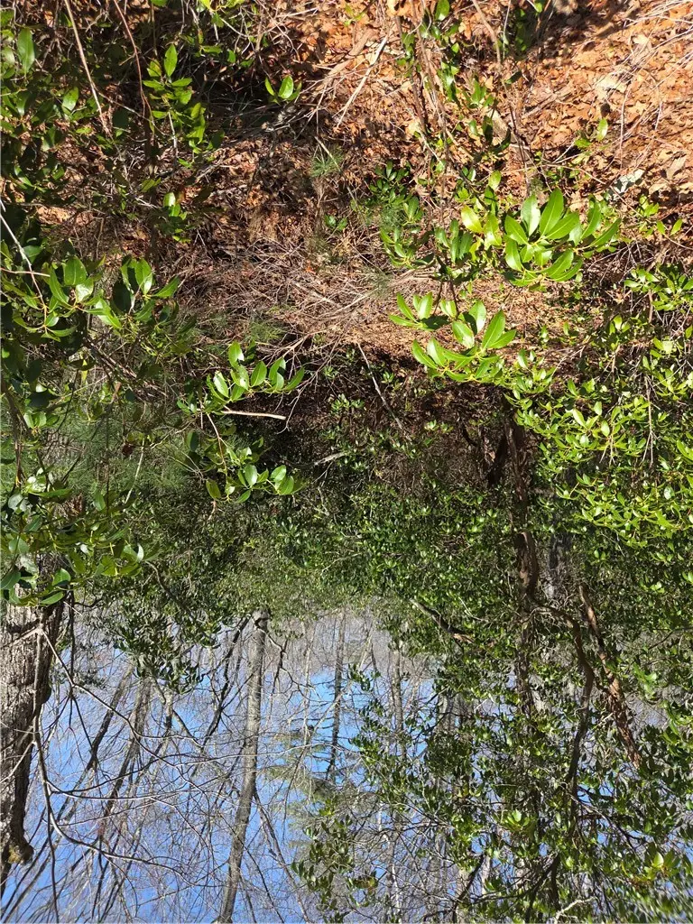 0 Nadia Court, Hope Valley, RI 02832 - #1