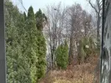 351 County Road, Barrington, RI 02806 - #3