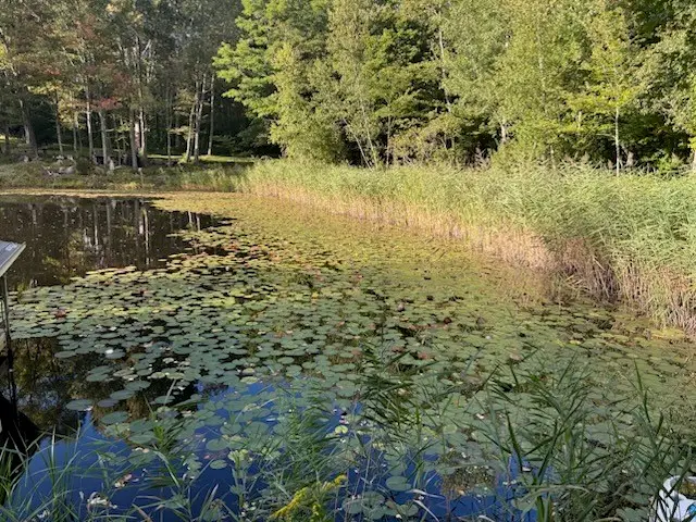 0 Cucumber Hill Road, Foster, RI 02825 - #2