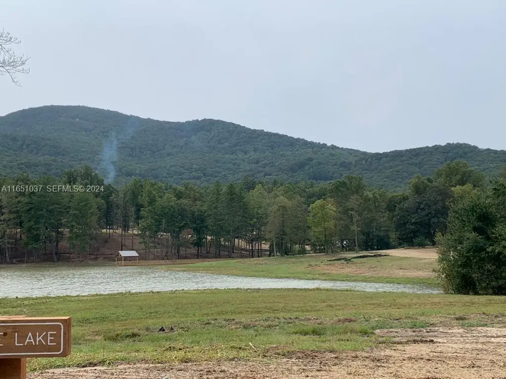 Yonah Lake Dr Yonah Lake Drive, City Unavailable, GA  - #1
