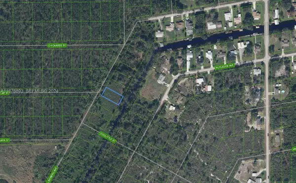1507 Lindberg Avenue, Lake Placid, FL 33872