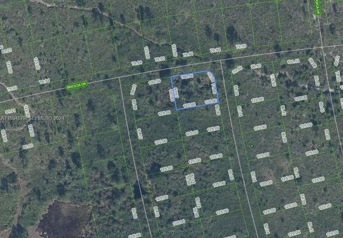 4739 Obispo Avenue, Sebring, FL 33872 - #1