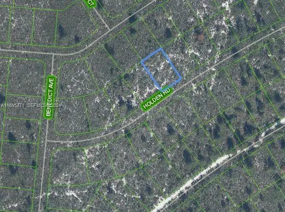6552 Holden Road, Sebring, FL 33872 - #1