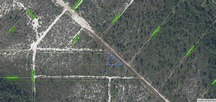 536 Nevada Avenue, Lake Placid, FL 33852 - #2