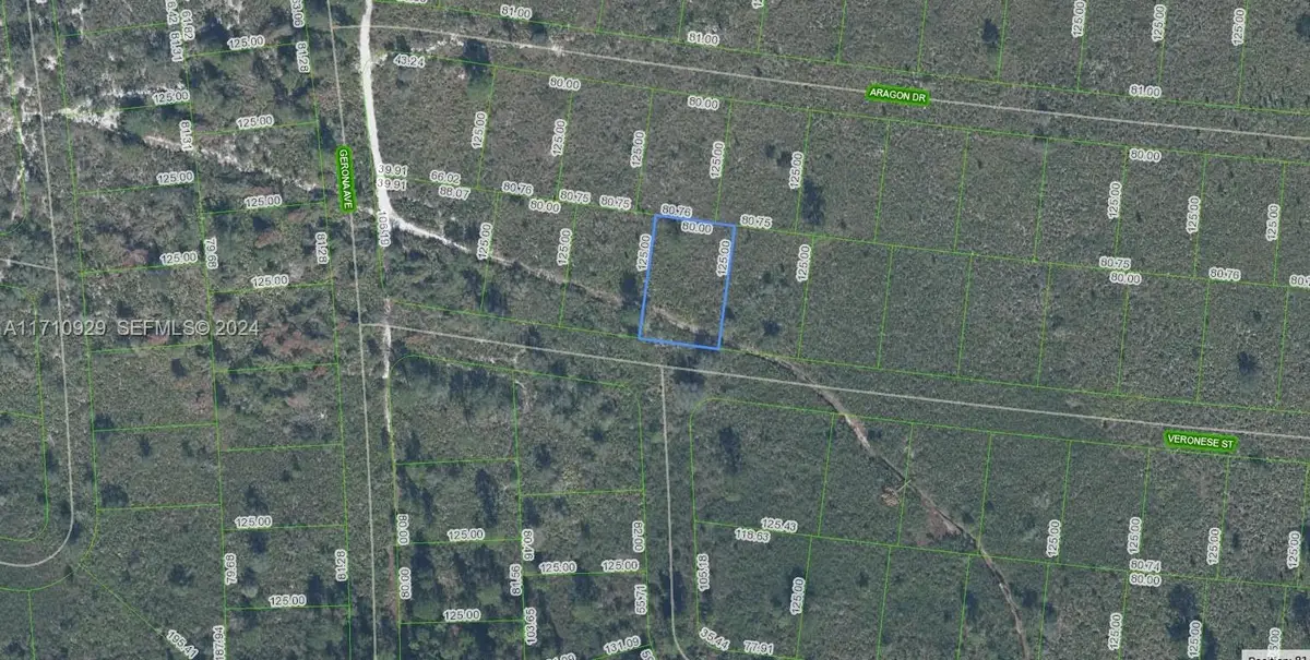 8136 Veronese Street, Sebring, FL 33872 - #1