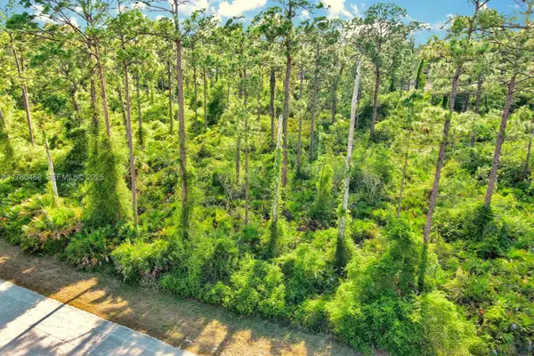 2019 Columbus Avenue, Lehigh Acres, FL 33920