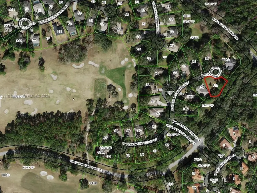2940 W Plantation Pines Court, Lecanto, FL 34461 - #3