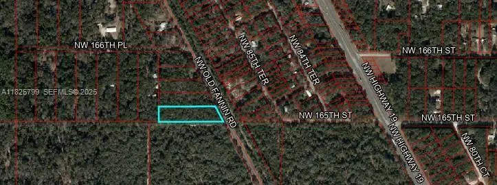 Old Fanning Road, Trenton, FL 32693 - #3