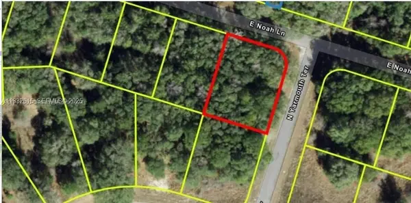 684 E Noah Lane, Citrus Springs, FL 34434