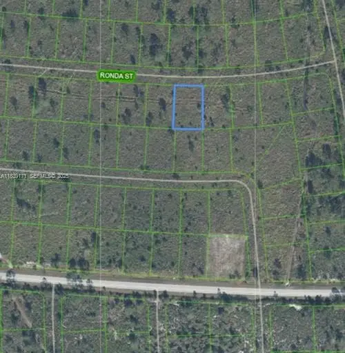 7811 Ronda Street, Sebring, FL 33872 - #2