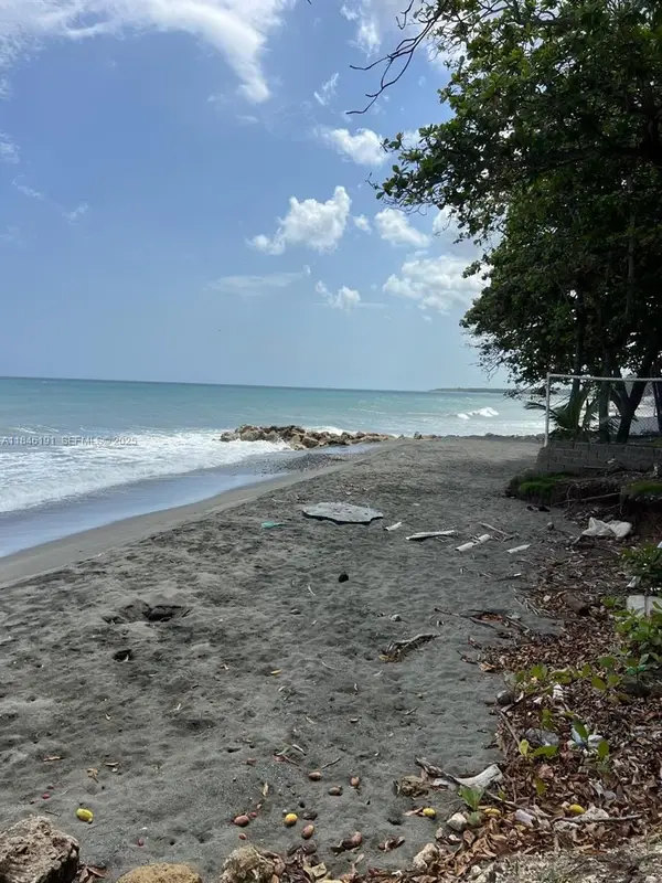 Paya Bani Dominican Republic, , FL 